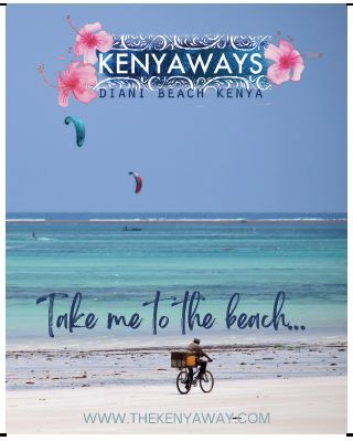 Safari & Tours