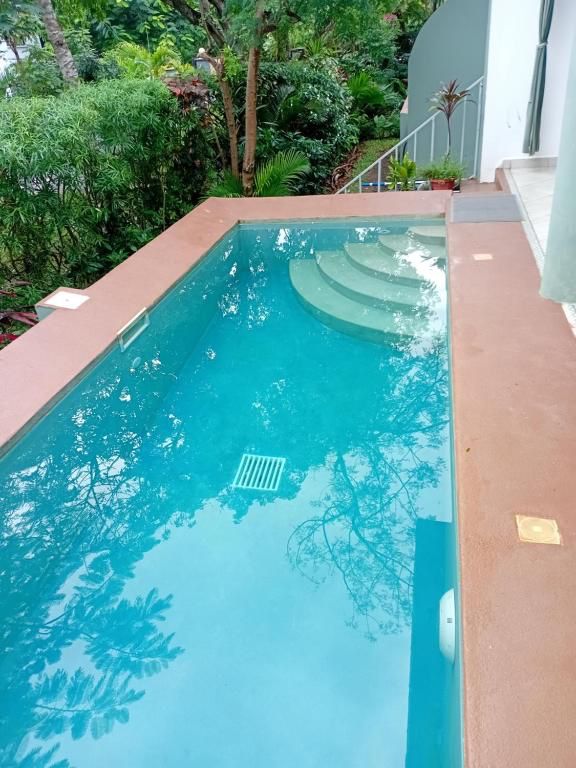 The Colobus House