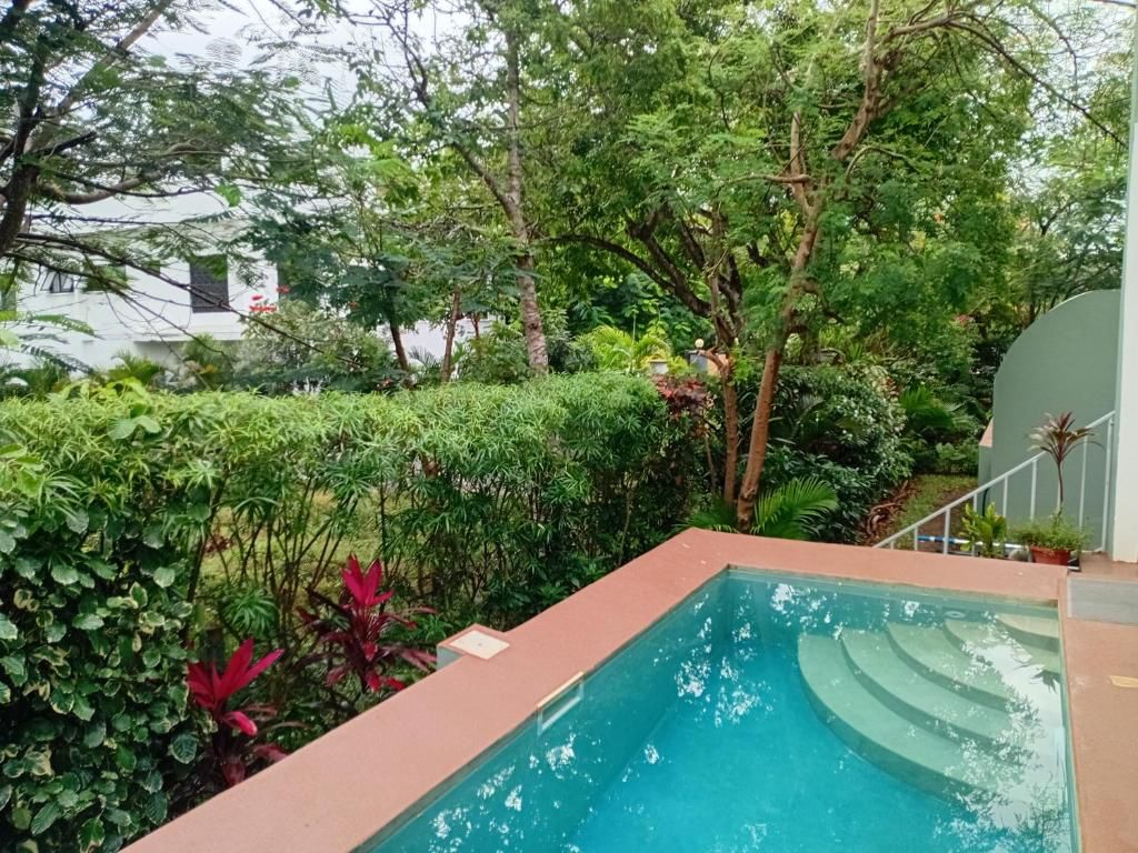 The Colobus House