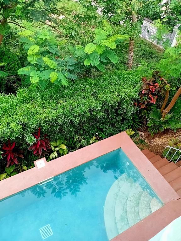 The Colobus House