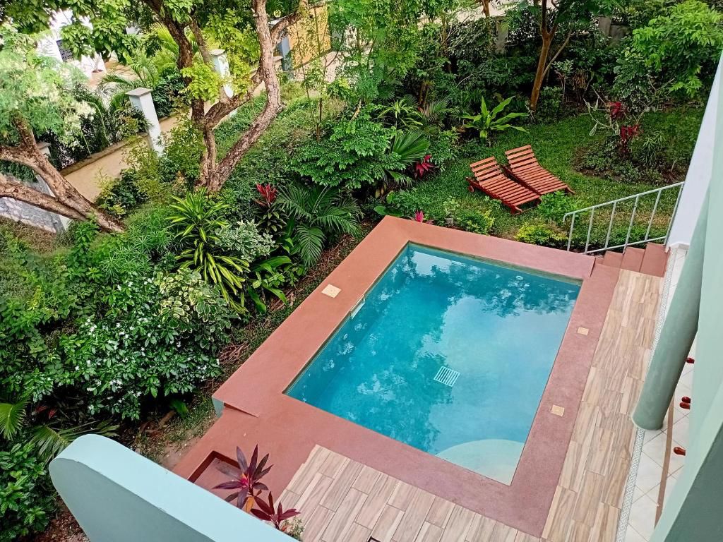 The Pool House